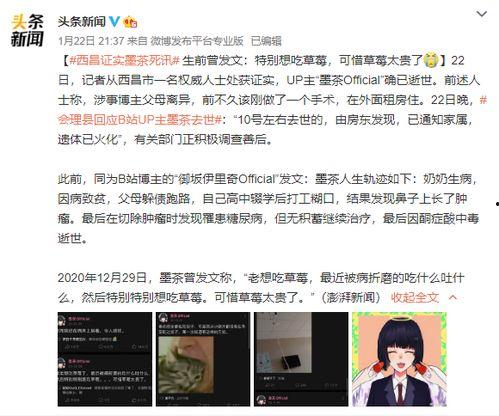 墨茶事件爆料视频大全集,揭秘网络红人墨茶陨落背后的真相与争议